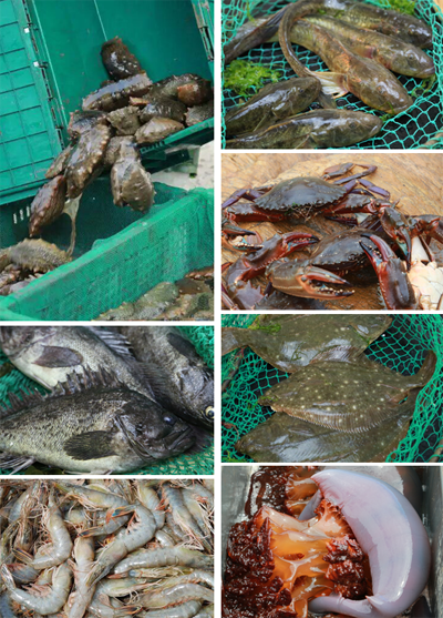 202103221410189911.png 202103221410189911.png