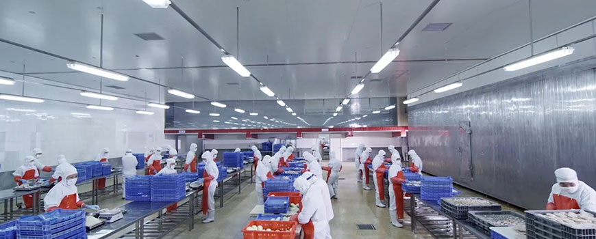 好當(dāng)家冷凍食品.jpg 好當(dāng)家冷凍食品.jpg